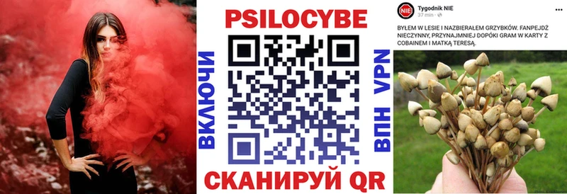 цена наркотик  Верхняя Тура  Псилоцибиновые грибы Cubensis 